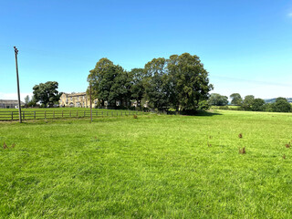 Extensive green fields, with old trees, farms, and a vivid blue sky near, Priesthorpe Road,...