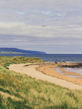 view of the coast of the sea, beach