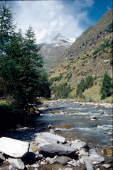 Gebirgsbach im Pfelder Tal, Fischwasser für Angler. Pfelders, Passeier, Südtirol, Italien   --  
Mountain stream in the Pfelder valley, fish waters for anglers. Pfelders, Passeier, South Tyrol, Italy