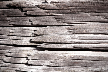 closeup old  gray dark wooden texture