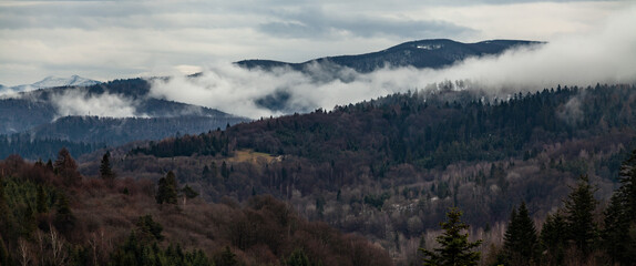 Las we mgle w szerokiej perspektywie, Bieszczady, Polska
