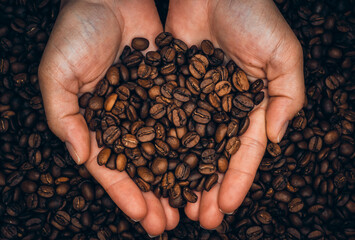coffee beans in hands