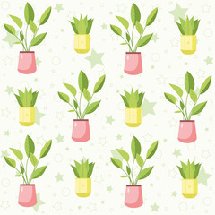Fototapeta na wymiar A cute pattern of plants in a pot against the background of asterisks.