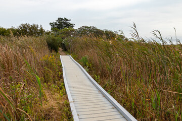 Boardwalk across the dunes and wetlands at a park in Cape May, New Jersey, USA