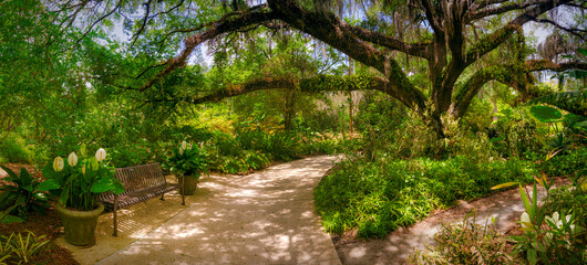 USA, Florida. Botanical gardens, Washington Oaks Gardens State Park.