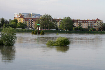 Miasto wrocław wysoka fala spowodowana rzeka Odra.  - obrazy, fototapety, plakaty