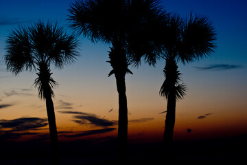 Obraz premium USA, Florida, Sarasota, Crescent Beach, Siesta Key, Sunset