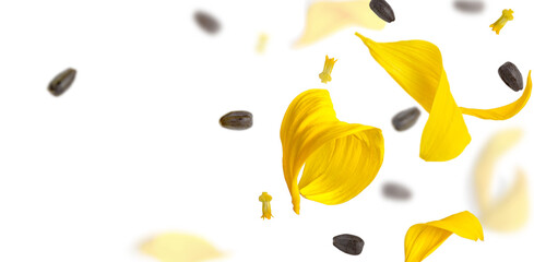 Falling yellow leaves and sunflower seeds on an isolated white background