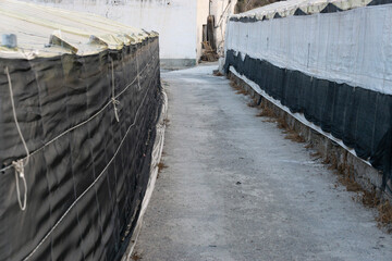 a country road between two greenhouses