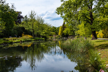 High old trees and bushes around small pond with reflection in water