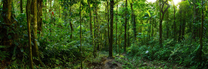 Fototapeta na wymiar Paysages du Costa Rica en Amérique Centrale