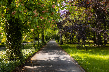 Long path with trees and bushes and benches on side