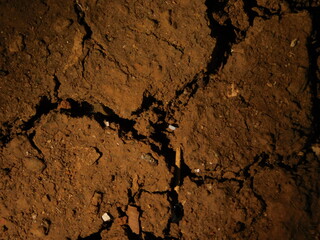 stone wall texture
