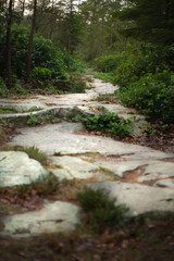 Naklejka premium Cragside Northumberland