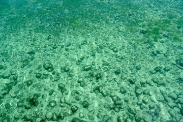 Bottom of Lake Constance in Germany near shore in shallow water of turquoise and green color. Round stones are covered with sand. It is full of copy space, ideal as background.