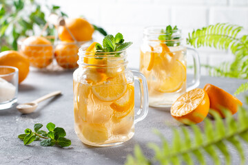 Fresh summer cocktail with lemons, mint and ice