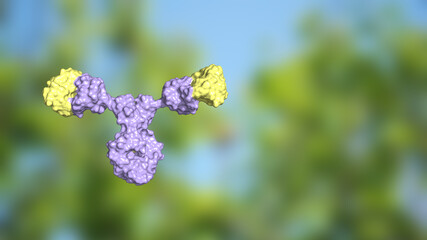 Obraz premium IgE antibodies respond to allergic reactions; IgE immunoglobulins with variable domains colored yellow against green background 3d render