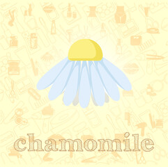 chamomile flower vector flat illustration, chamomile vector illustration