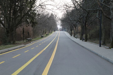 Fototapeta premium road in winter