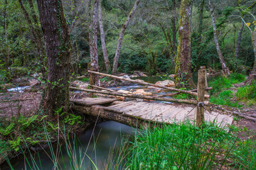 Beautiful river stream in the forest. Waterfalls and silky river stream in the mountain gorge of Fragas de Sao Simao - Aldeias de Xisto - Portugal