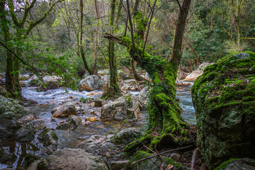 Beautiful river stream in the forest. Waterfalls and silky river stream in the mountain gorge of Fragas de Sao Simao - Aldeias de Xisto - Portugal