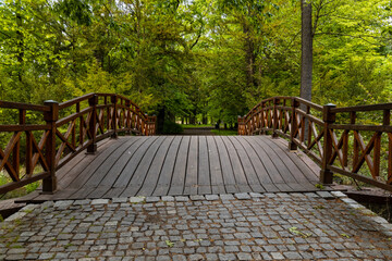 Fototapeta na wymiar Small wooden bridge in old park full of trees and bushes