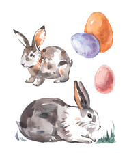 watercolor hand drawn set of easter bunny and eggs