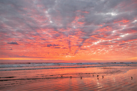 Sunrise, New Smyrna Beach, Florida, USA