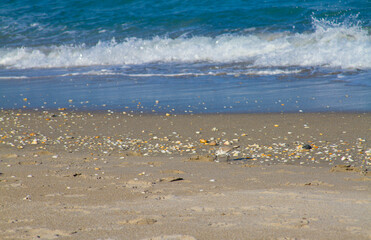Waves and sand at Jupiter Beach, Florida.