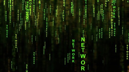 Fototapeta premium Network on the internet concept