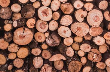 natural wood logs background