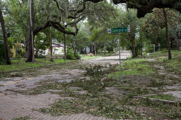 Hurricane Irma damage in historic downtown Lake Eola Heights, Orlando, Florida. September 11, 2017.