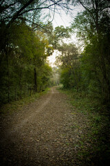 camino