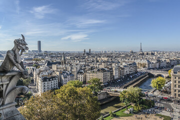 Famous Stone demons gargoyle and chimera with Paris city on background. View from Notre Dame de...