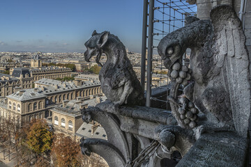 Famous Stone demons gargoyle and chimera with Paris city on background. View from Notre Dame de Paris. France. 