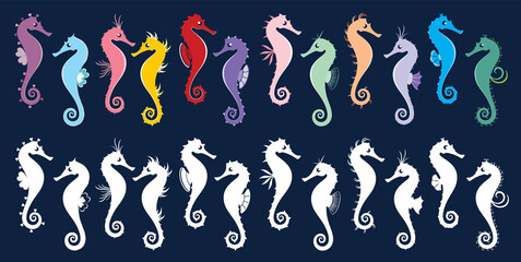 Sea Horses © Jelena