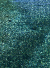 turquoise water in Lake Geneva