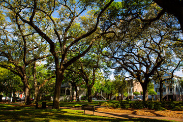 Savannah, Georgia, Pulaski Square, park, bench, Spanish Moss, Oaks trees, historic