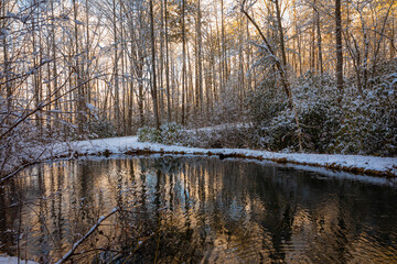 Fototapeta na wymiar Snowy winter scene of pond and trees at dawn