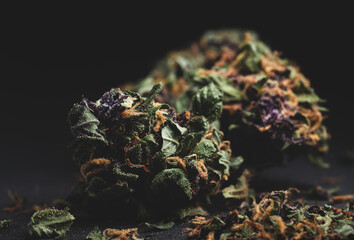 Purple Haze Cannabis Marijuana Dry Buds