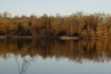 Fototapeta na wymiar Herbstwald am Wasser