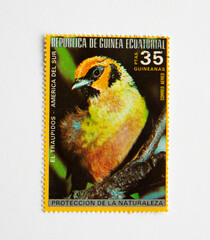 Guinea Republic Postage Stamp. circa 1972. Bird Series. El traupidos