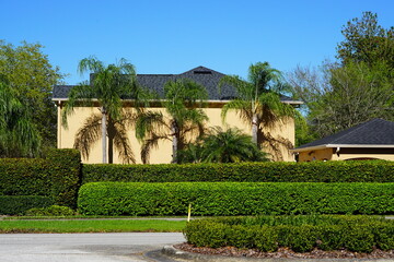 Fototapeta na wymiar Green Ivy wall of a Florida community 