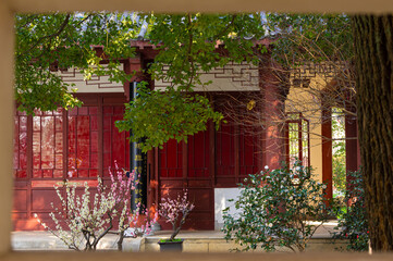 Spring plum blossoms and park scenery in East Lake Plum Garden in Wuhan, Hubei
