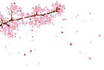 桜の花びらが舞う背景