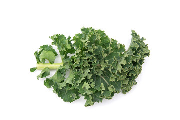 Fresh green leaf kale vegetable isolated on white background. Healthy food concept