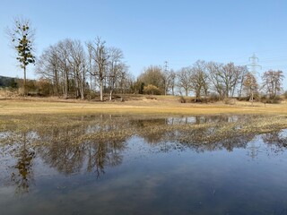 Natural landscape during late winter in the natural protection zone Aargau Reuss river plain...