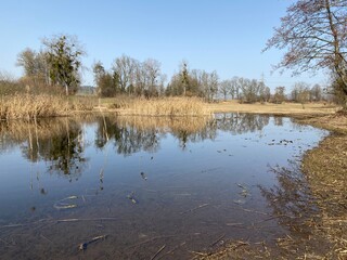 Natural landscape during late winter in the natural protection zone Aargau Reuss river plain...