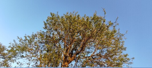 Mountains Sun Sky Nature