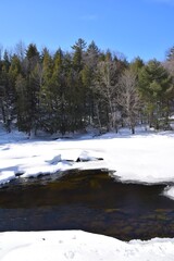 Darwin waterfalls in southern Quebec